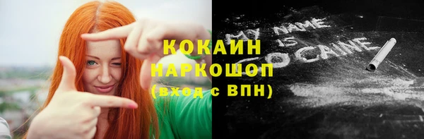 ешки Алексин