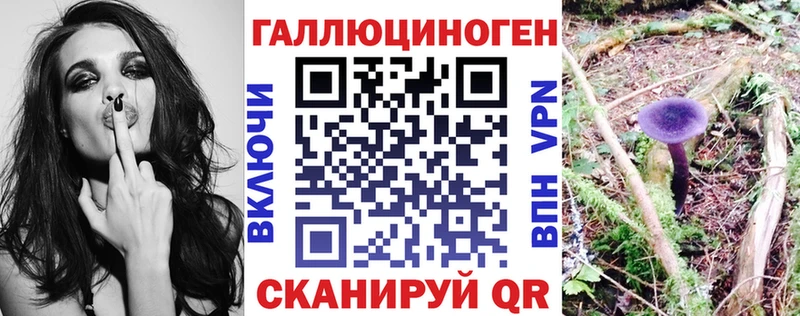 Псилоцибиновые грибы GOLDEN TEACHER  где найти наркотики  кракен ССЫЛКА  Перевоз 